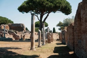 Depuis Rome : visite guidée de 4 heures d'Ostia Antica