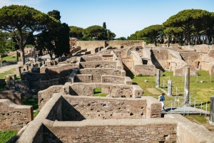 Da Roma: Ostia Antica: escursione guidata di mezza giornata in treno
