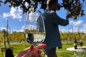 Da Roma: Masterclass sulla pasta e tour del vino in vigna