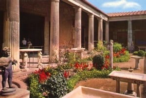 From Rome: Pompeii All-Inclusive Tour with Live Guide