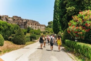 From Rome: Pompeii, Amalfi Coast and Positano Day Trip