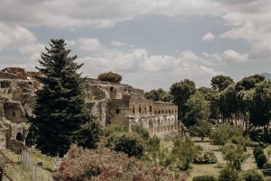 From Rome: Pompeii Tour with Archaeologist & Amalfi Coast