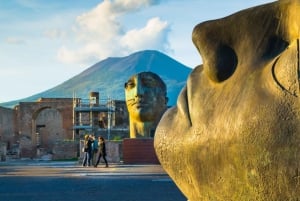 From Rome: Pompeii and Herculaneum Tour w/ High-speed Train