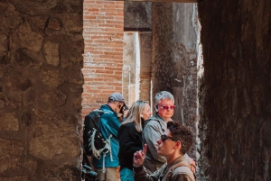 Fra Rom: Pompeji og Herculaneum med højhastighedstog