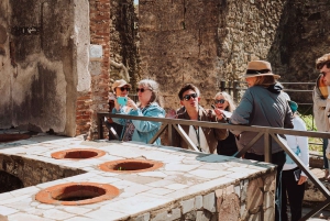 Fra Rom: Pompeji og Herculaneum med højhastighedstog