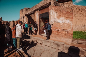 Fra Rom: Pompeji og Herculaneum med højhastighedstog