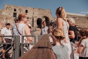 From Rome: Pompeii and Herculaneum by High-Speed Train