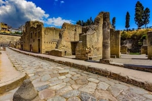 From Rome: Pompeii and Herculaneum by High-Speed Train