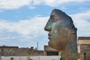 From Rome: Pompeii and Mount Vesuvius Day Trip with Lunch