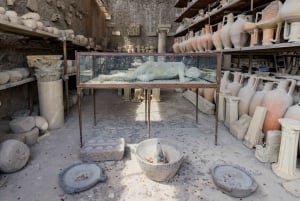 From Rome: Pompeii and Mount Vesuvius Day Trip with Lunch