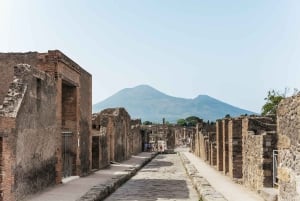 Da Roma: Gita di un giorno a Pompei e al Vesuvio con pranzo