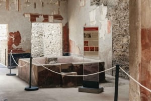 Da Roma: Gita di un giorno a Pompei e al Vesuvio con pranzo