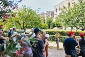 Da Roma: Gita di un giorno a Pompei e al Vesuvio con pranzo