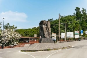 Da Roma: Gita di un giorno a Pompei e al Vesuvio con pranzo
