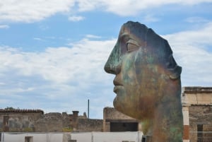 Da Roma: Gita di un giorno a Pompei e al Vesuvio con pranzo