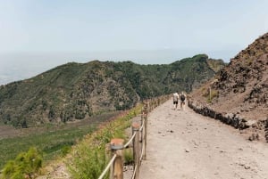 Da Roma: Escursione di un giorno a Pompei e al Vesuvio con pranzo