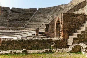 Da Roma: Escursione di un giorno a Pompei e al Vesuvio con pranzo