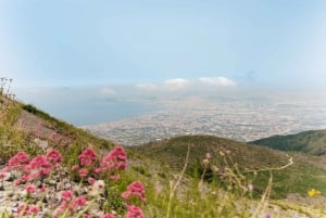 Da Roma: Escursione di un giorno a Pompei e al Vesuvio con pranzo