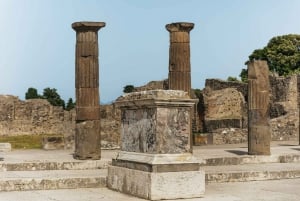 Da Roma: Escursione di un giorno a Pompei e al Vesuvio con pranzo