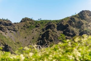 Da Roma: Escursione di un giorno a Pompei e al Vesuvio con pranzo