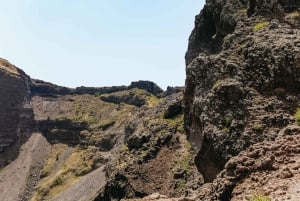 Da Roma: Escursione di un giorno a Pompei e al Vesuvio con pranzo