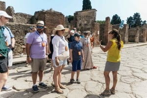 Da Roma: Escursione di un giorno a Pompei e al Vesuvio con pranzo