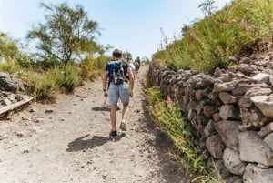 Da Roma: Escursione di un giorno a Pompei e al Vesuvio con pranzo