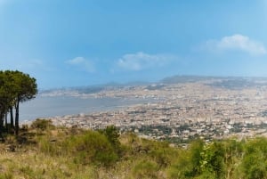 Da Roma: Escursione di un giorno a Pompei e al Vesuvio con pranzo