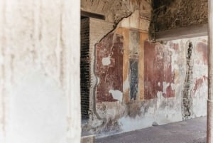 Da Roma: Escursione di un giorno a Pompei e al Vesuvio con pranzo