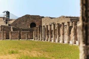 Da Roma: Escursione di un giorno a Pompei e al Vesuvio con pranzo