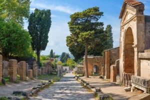 Vanuit Rome: dagtrip naar Pompeii en Napels met de hogesnelheidstrein