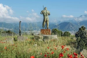 Vanuit Rome: dagtrip naar Pompeii en Napels met de hogesnelheidstrein