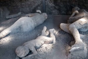 Vanuit Rome: dagtrip naar Pompeii en Napels met de hogesnelheidstrein