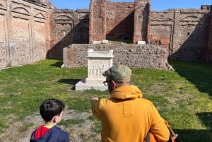 Vanuit Rome: dagtrip naar Pompeii en Napels met de hogesnelheidstrein