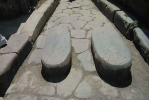 Da Roma: Pompei e Napoli, tour di un giorno intero con pranzo