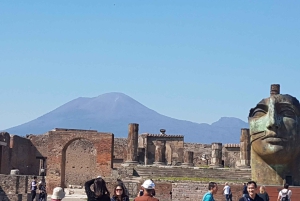 Da Roma: Pompei e Napoli, tour di un giorno intero con pranzo
