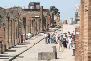Da Roma: Pompei e Napoli, tour di un giorno intero con pranzo
