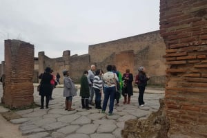 Da Roma: Pompei e Napoli, tour di un giorno intero con pranzo