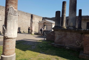 Da Roma: Pompei e Napoli, tour di un giorno intero con pranzo
