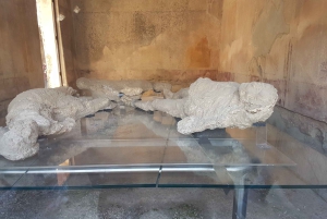 Da Roma: Pompei e Napoli, tour di un giorno intero con pranzo