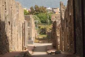 From Rome: Pompeii and Naples Full-Day Tour
