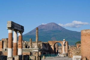 From Rome: Pompeii and Naples, Full Day Tour with Lunch