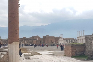 From Rome: Pompeii and Naples, Full Day Tour with Lunch