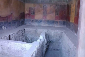 From Rome: Pompeii and Naples, Full Day Tour with Lunch