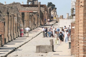From Rome: Pompeii and Naples, Full Day Tour with Lunch