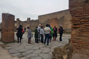 From Rome: Pompeii and Naples, Full Day Tour with Lunch