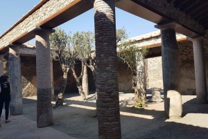From Rome: Pompeii and Naples, Full Day Tour with Lunch