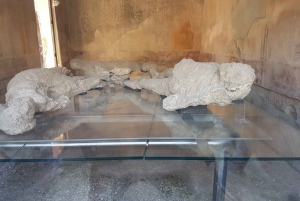 From Rome: Pompeii and Naples, Full Day Tour with Lunch