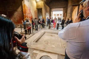 Da Roma: Escursione guidata di un giorno a Pompei e al Vesuvio con pranzo