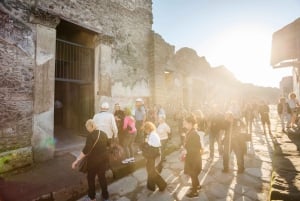 Da Roma: Escursione guidata di un giorno a Pompei e al Vesuvio con pranzo